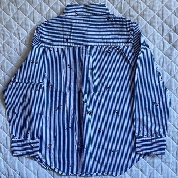 Space Stripe Button Down - Picture 5 of 5